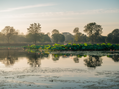 how to build a tiny morning ritual that actually boosts your focus and mood